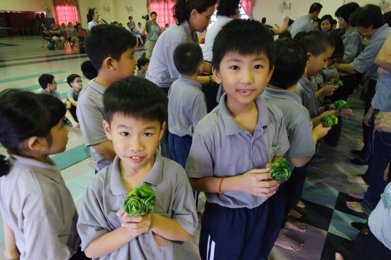 班兰叶玫瑰送给老师