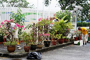 美化环境,人人有责 5.jpg