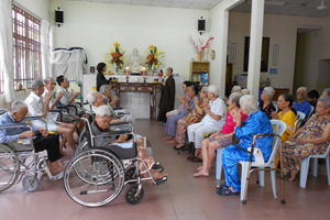 八打灵晚晴苑老菩萨做晚棵