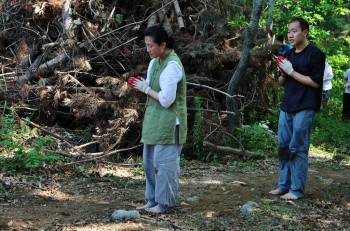 在紅松林裏一步一拜