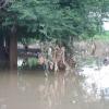 Korat Flood Saturday, Oct 23-24, 2010
