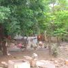Korat Flood Saturday, Oct 23-24, 2010