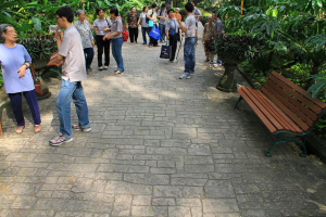 小组‘讨论’,大家都乐在其中。