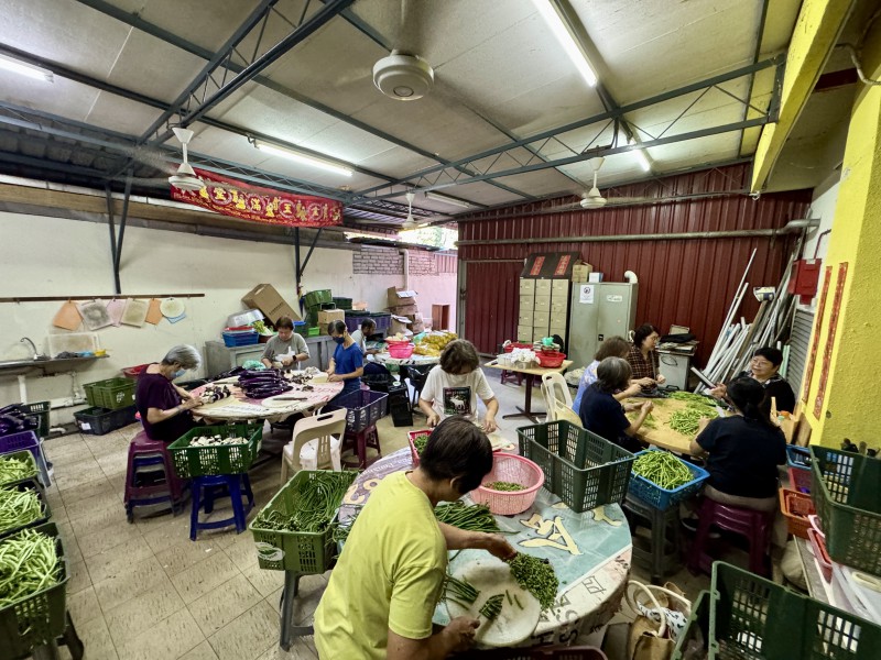 切菜组的老菩萨们,辛勤地进行切菜准备。