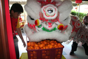 CNYcelebration(11).jpg