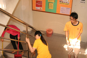 SpringCleaning (8).jpg