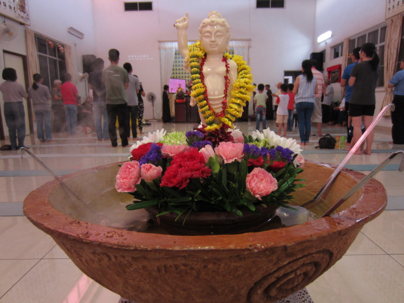 美味素食让大家吃饱饱!