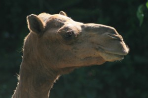 现场观众 003.jpg